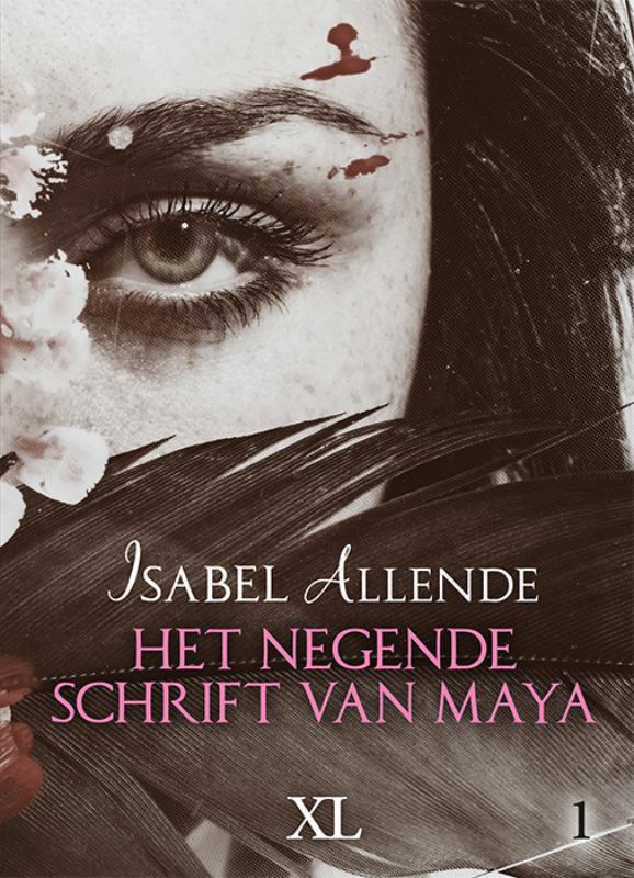 Het negende schrift van Maya - grote letter uitgave