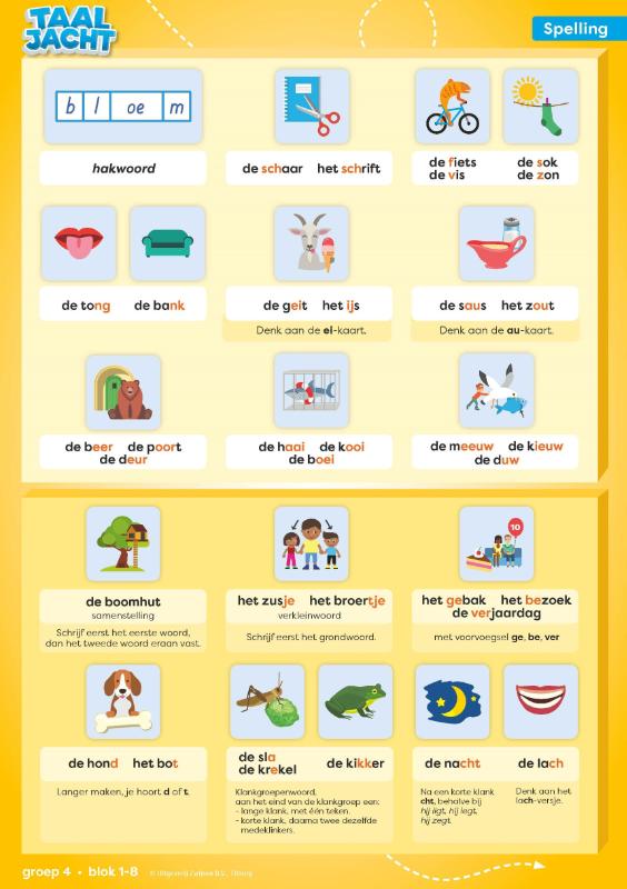 categoriekaarten (set)