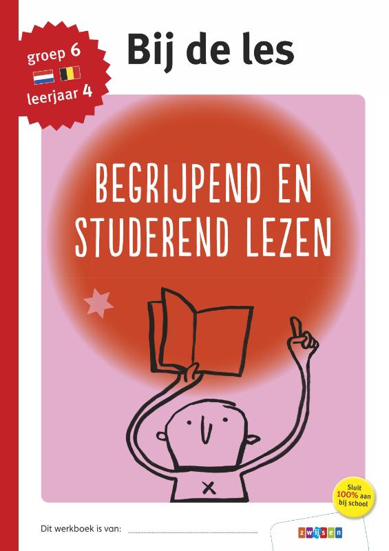 groep 6 - leerjaar 4