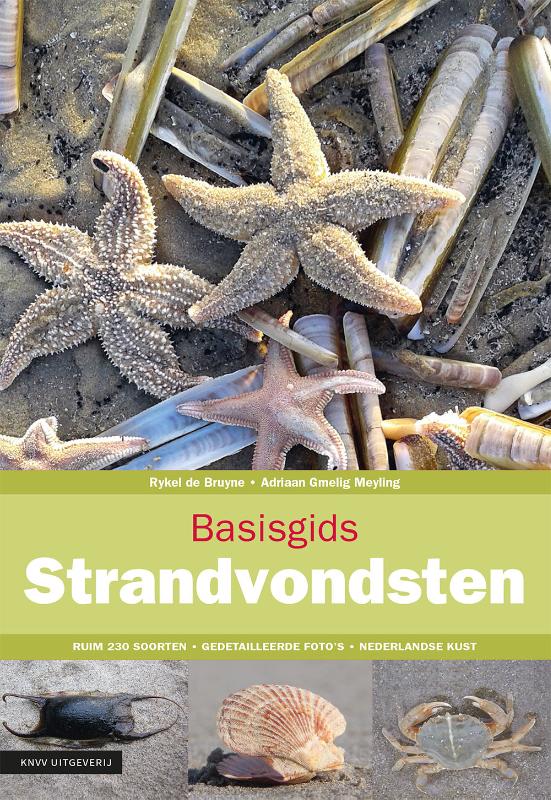 Basisgids Strandvondsten