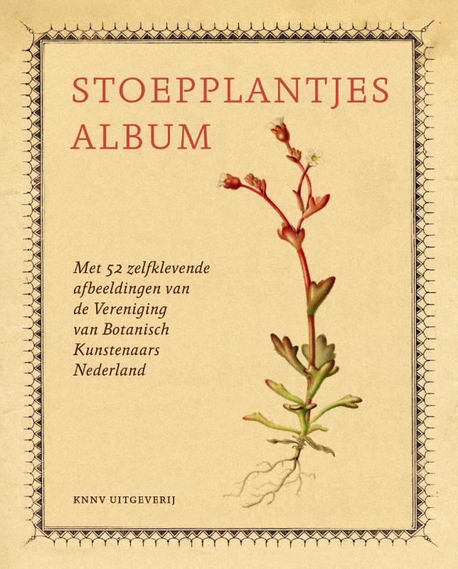 Stoepplantjesalbum