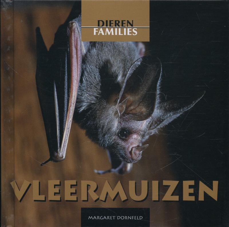 Vleermuizen
