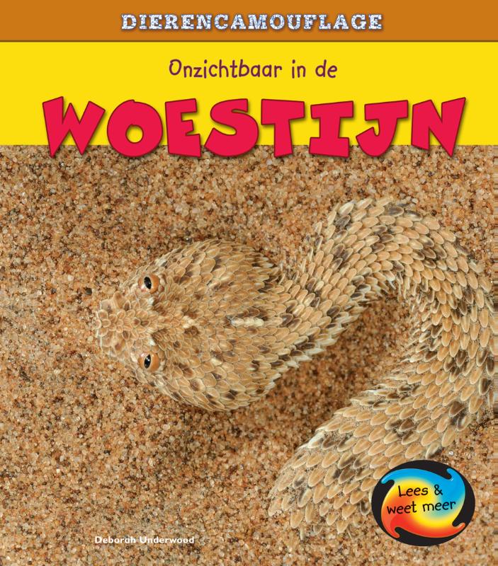 Onzichtbaar in de woestijn