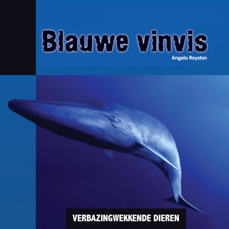 Blauwe vinvis