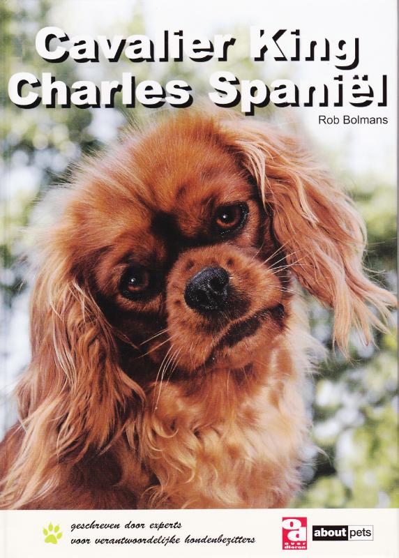 Cavalier King Charles spaniël