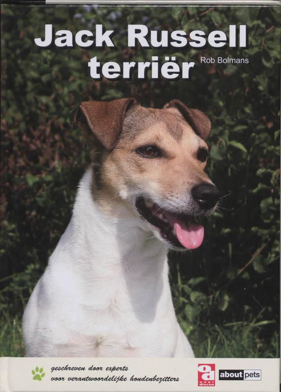 Jack Russell terriër