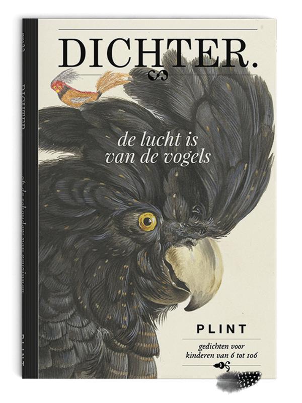De lucht is van de vogels set van 5