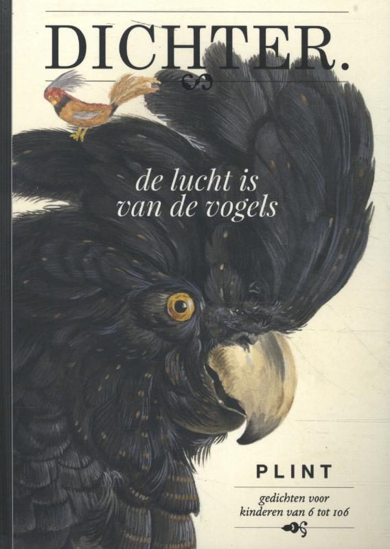 De lucht is van de vogels