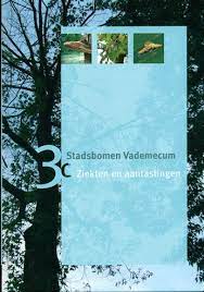 3c Ziekten en aantastingen