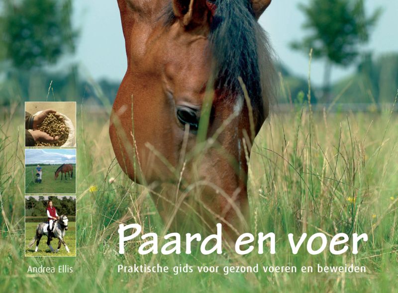 Paard en voer