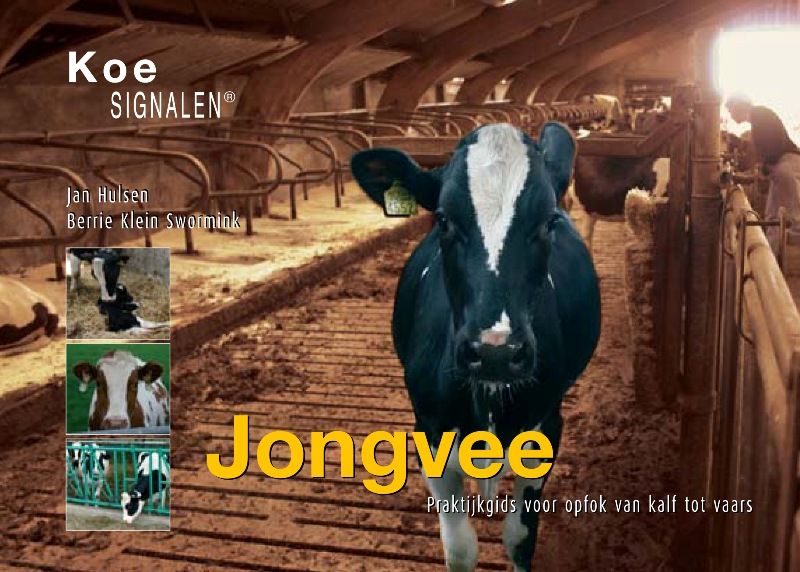 Jongvee