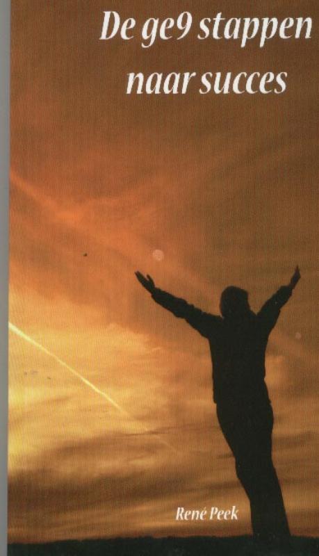 De ge9 stappen naar succes