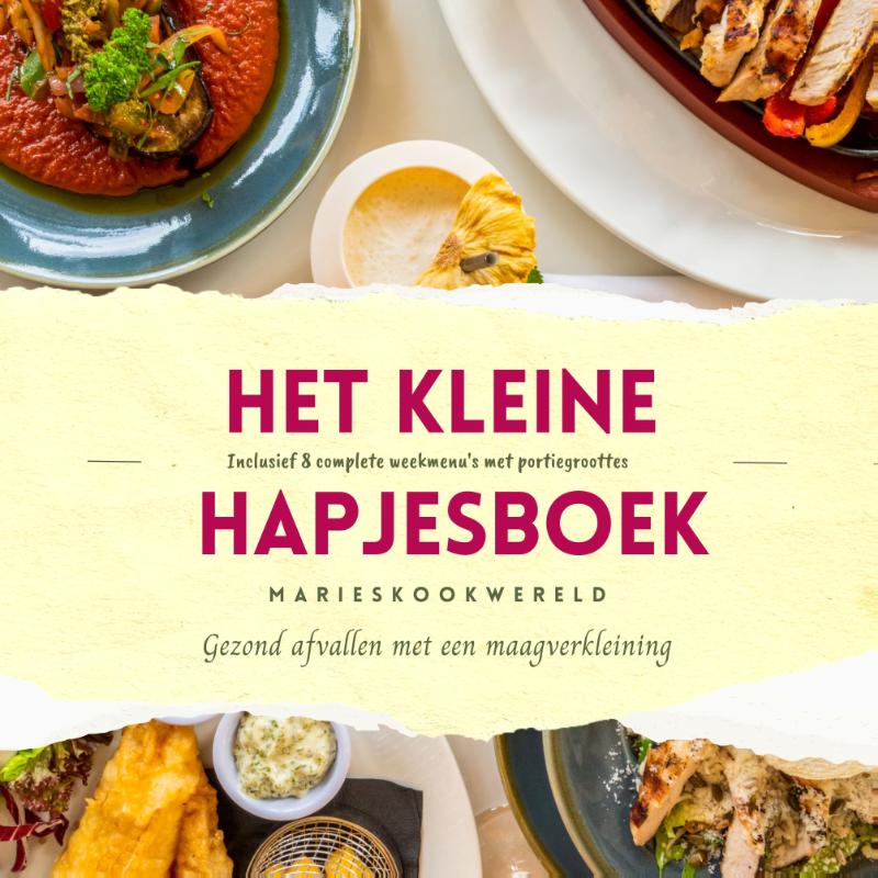 Het kleine hapjesboek na je maagverkleining