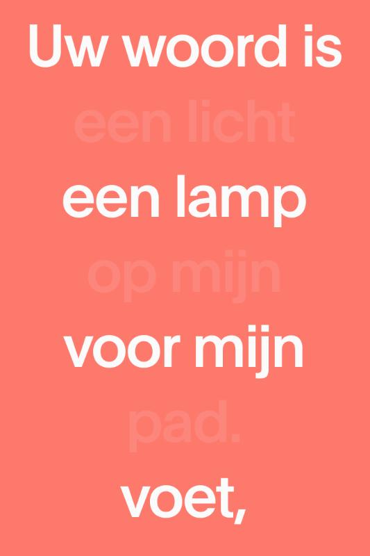 NBV21 Midsize Paperback