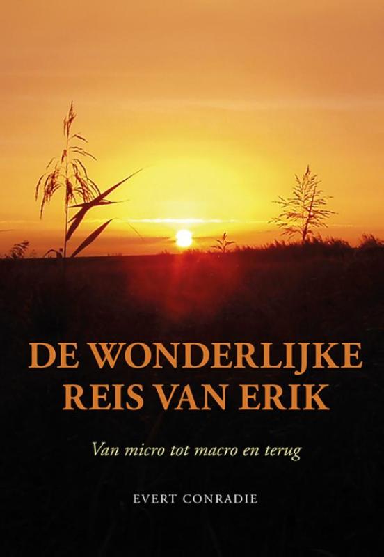 De wonderlijke reis van Erik