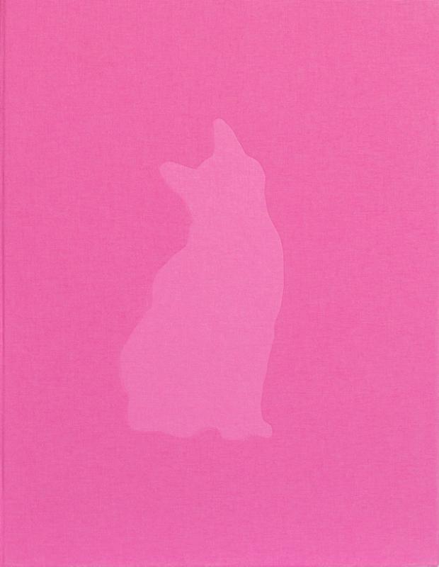 Felis Silvestris Catus