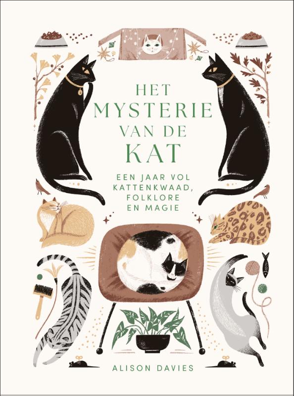 Het mysterie van de kat