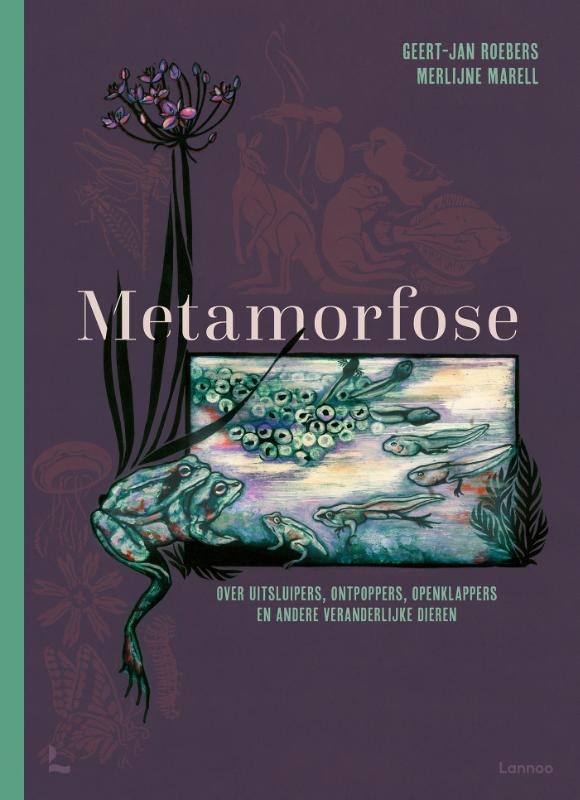 Metamorfose