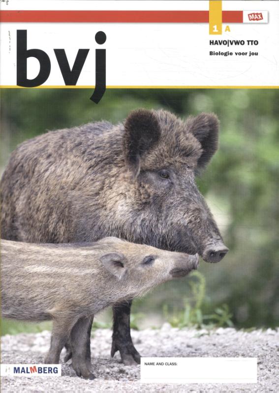 Leeropdrachtenboek A