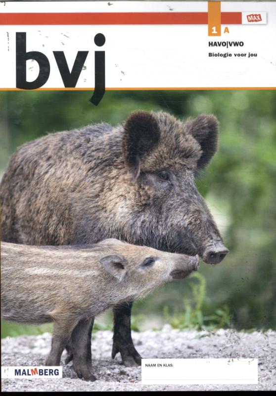 Leeropdrachtenboek A