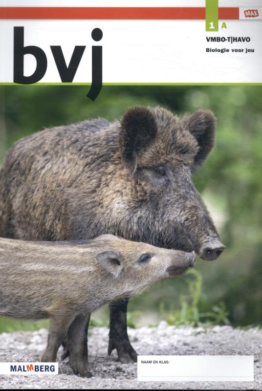 1 vmbo-t/havo Deel A