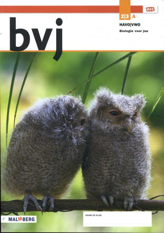 Leeropdrachtenboek A