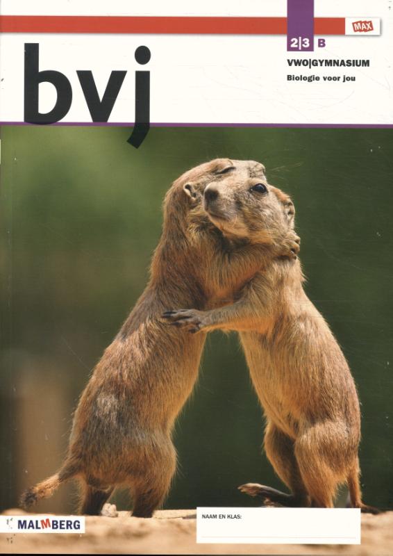 Leeropdrachtenboek B