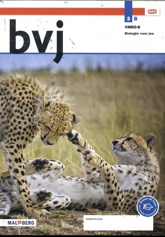 3 B vmbo-b