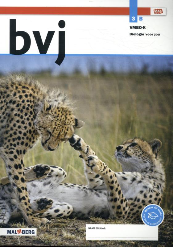 Leer/opdrachtenboek B