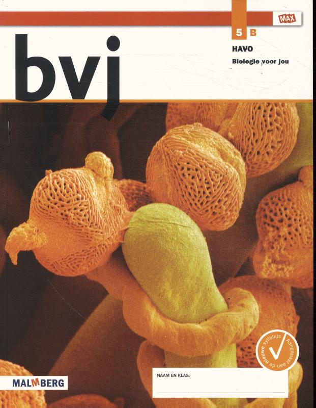 Leeropdrachtenboek B