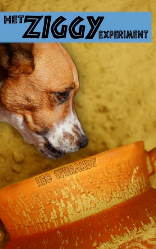 Het Ziggy experiment