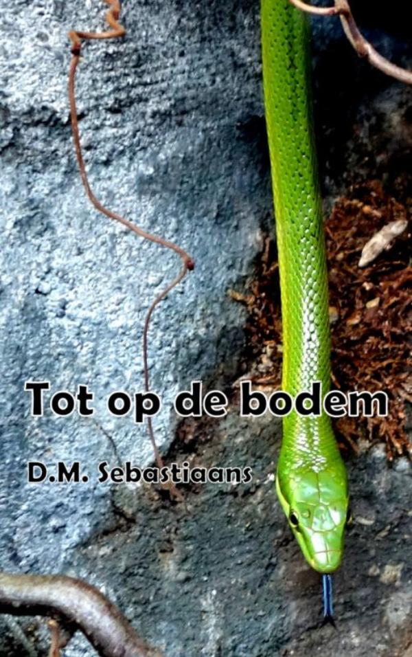 Tot op de bodem