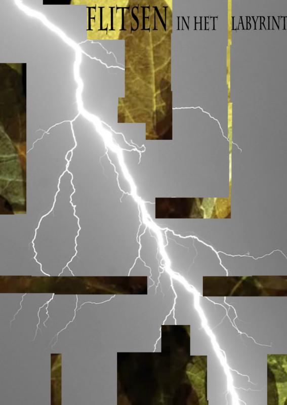 Flitsen in het Labyrint