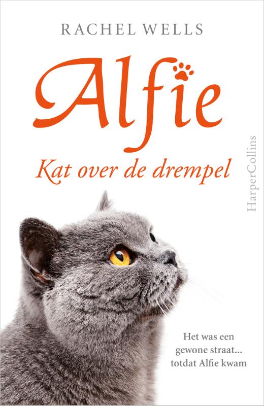 Kat over de drempel