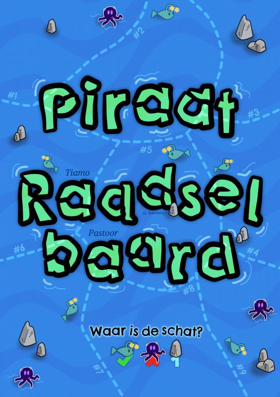 Piraat Raadselbaard