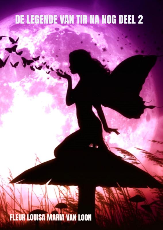 De legende van Tir Na Nog deel 2