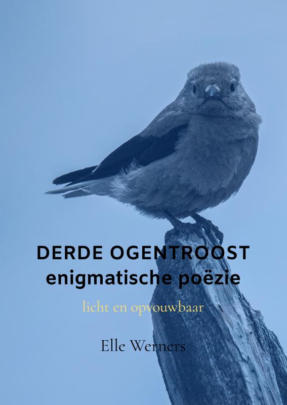 DERDE OGENTROOST enigmatische poëzie
