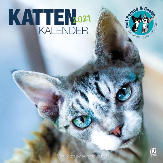 Kattenkalender 2021