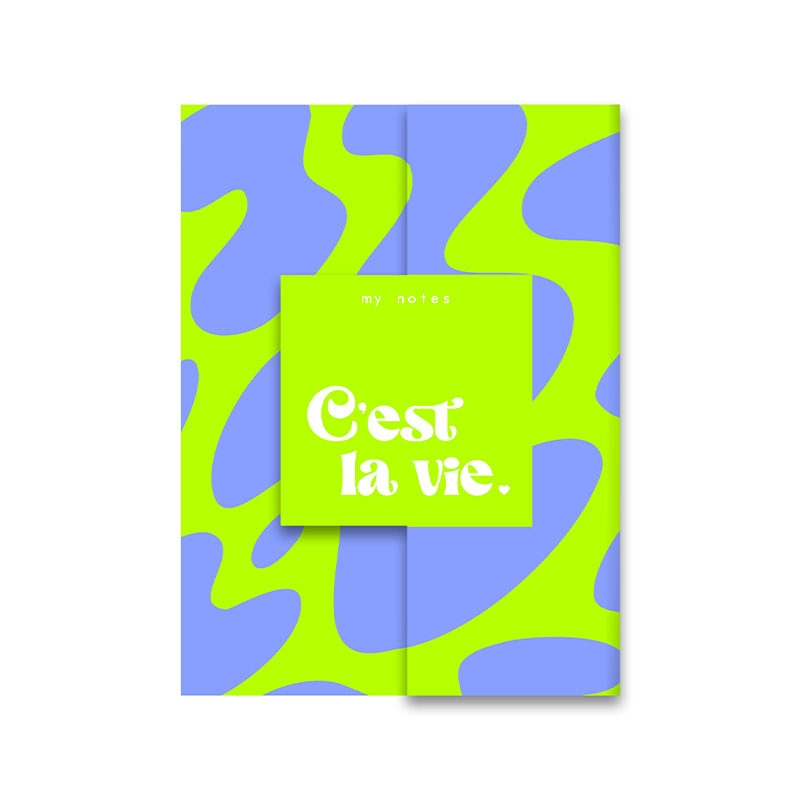 My notes - C'est la vie.