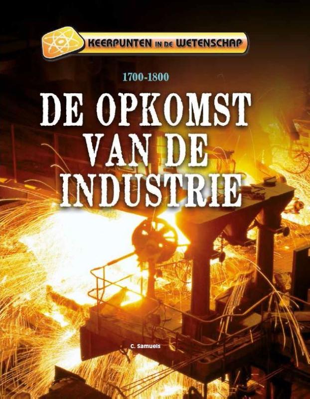 De opkomst van de industrie