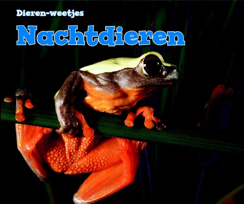 Nachtdieren