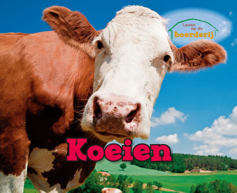 Koeien
