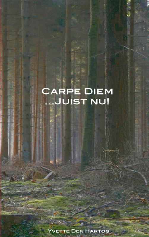 Carpe Diem juist nu!
