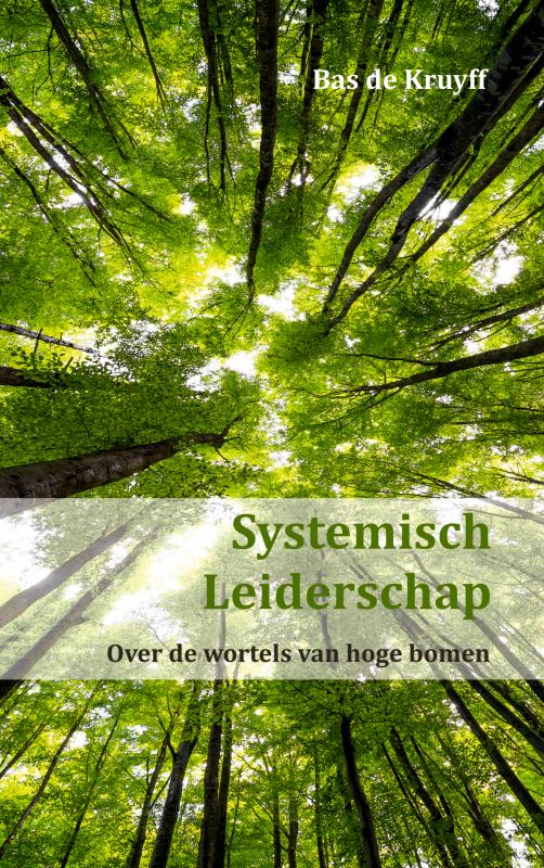 Systemisch Leiderschap