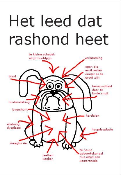 Het leed dat rashond heet