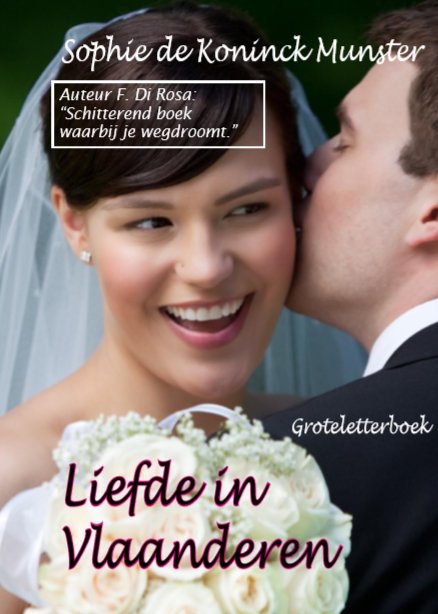 Liefde in Vlaanderen