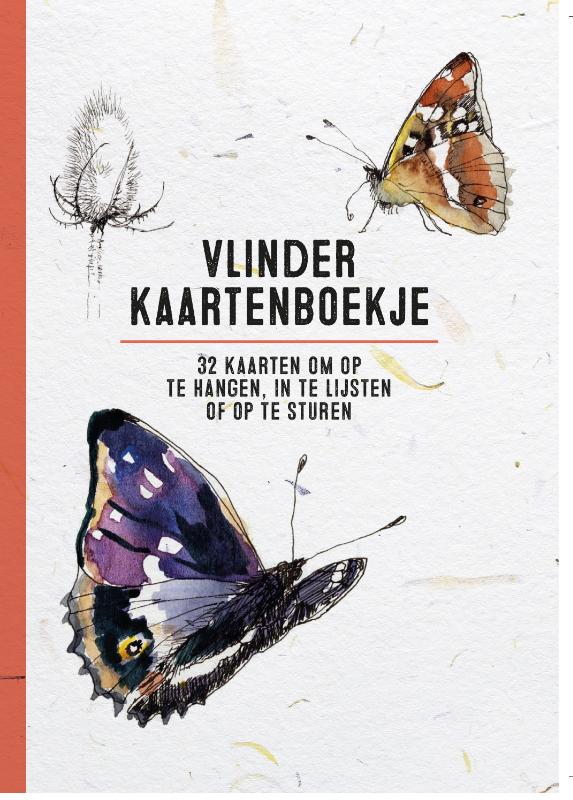 Vlinder kaartenboekje