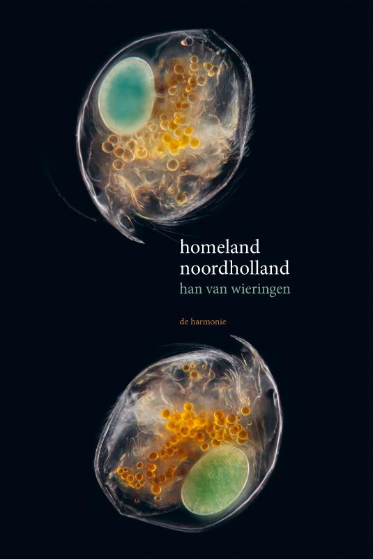 Homeland Noordholland