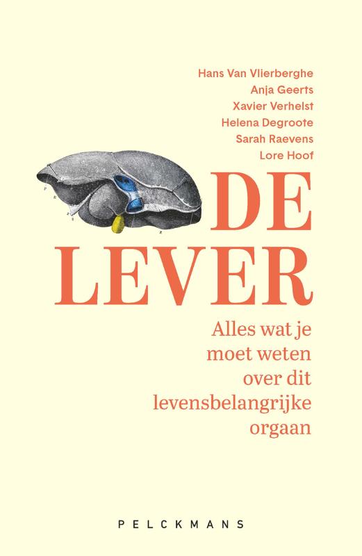 De lever