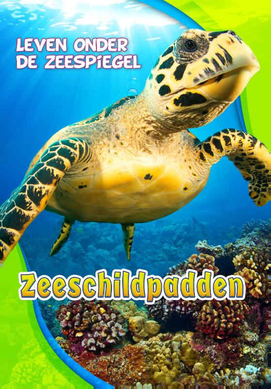 Zeeschildpadden